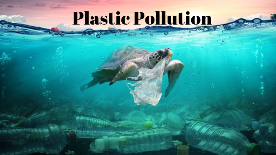 Plastic Pollution