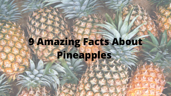 9 Amazing Facts About Pineapples