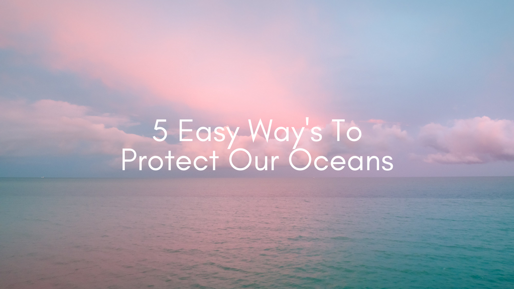 5 Easy Way's To Protect Our Oceans