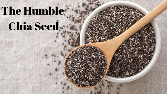 The Humble Chia Seed